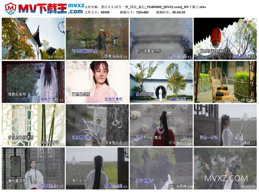 黑白人生-浮生一梦_国语_流行_YE400995